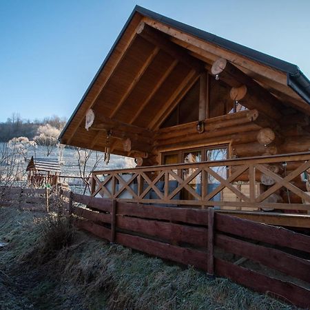 Vila Szepit Lutowiska Exteriér fotografie
